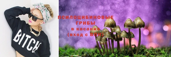 прущие грибы Козловка