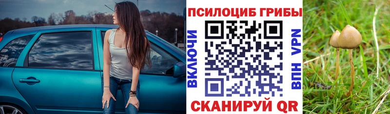 купить  сайты  Луза  площадка как зайти  Галлюциногенные грибы Magic Shrooms 
