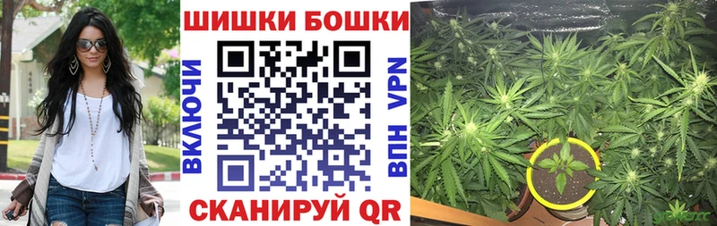 Шишки марихуана Amnesia  Луза 